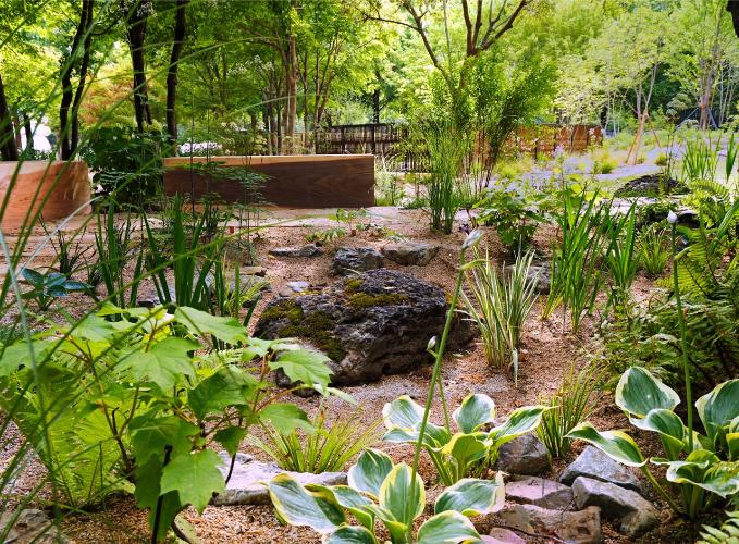 k_garden_show_p26.jpg